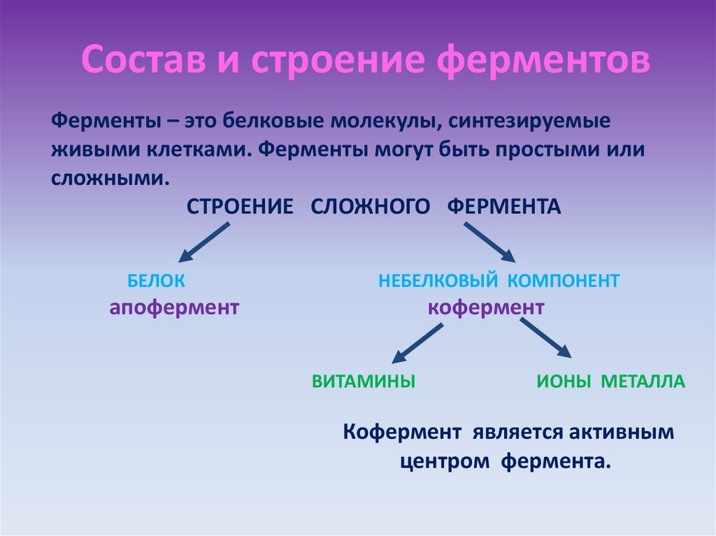 Наличие ферментов