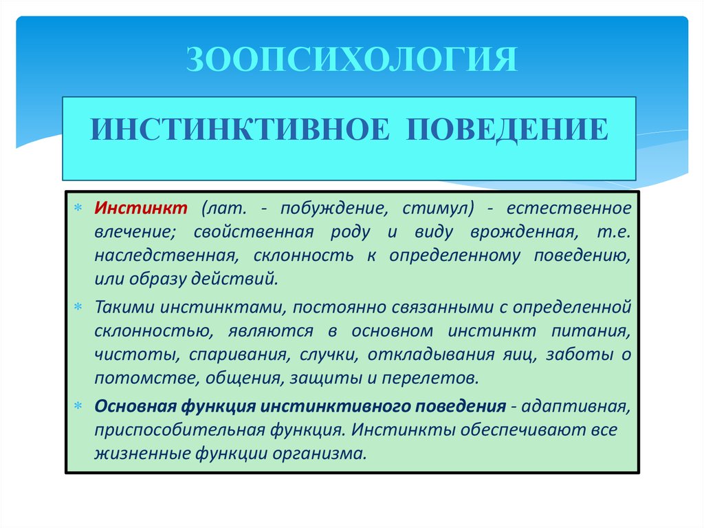 Формирование инстинктов