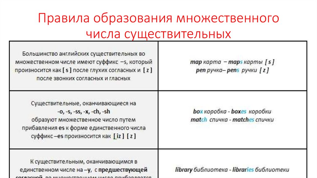 Неправильные формы множественного числа существительных