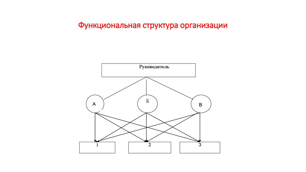 Функциональная структура организации