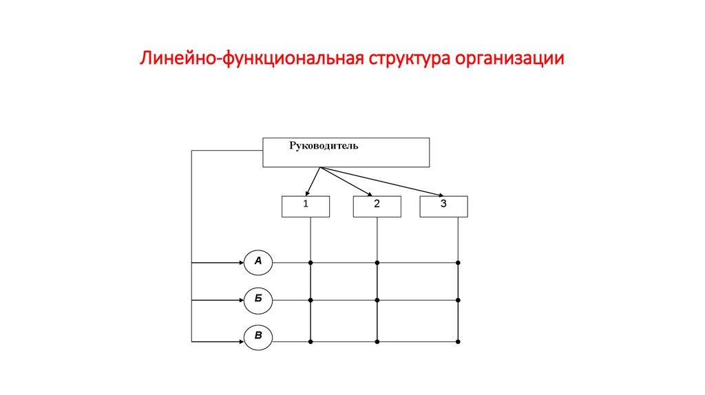 Линейно-функциональная структура организации