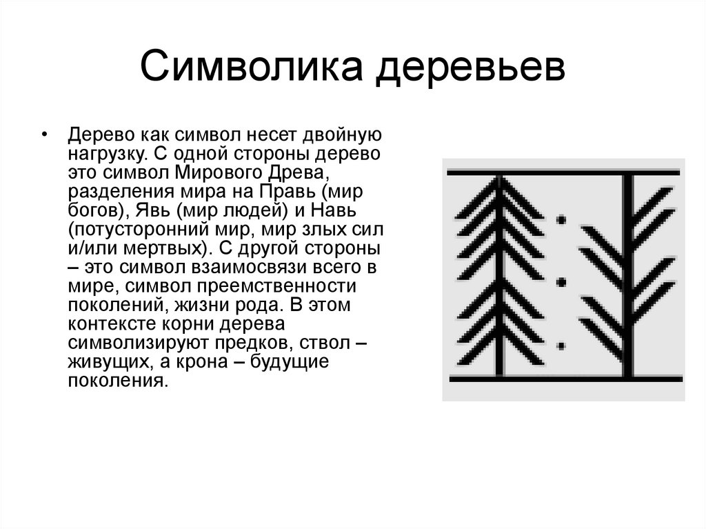 Значение дерева ели. Дерево символ. Знаки обозначающие деревья.