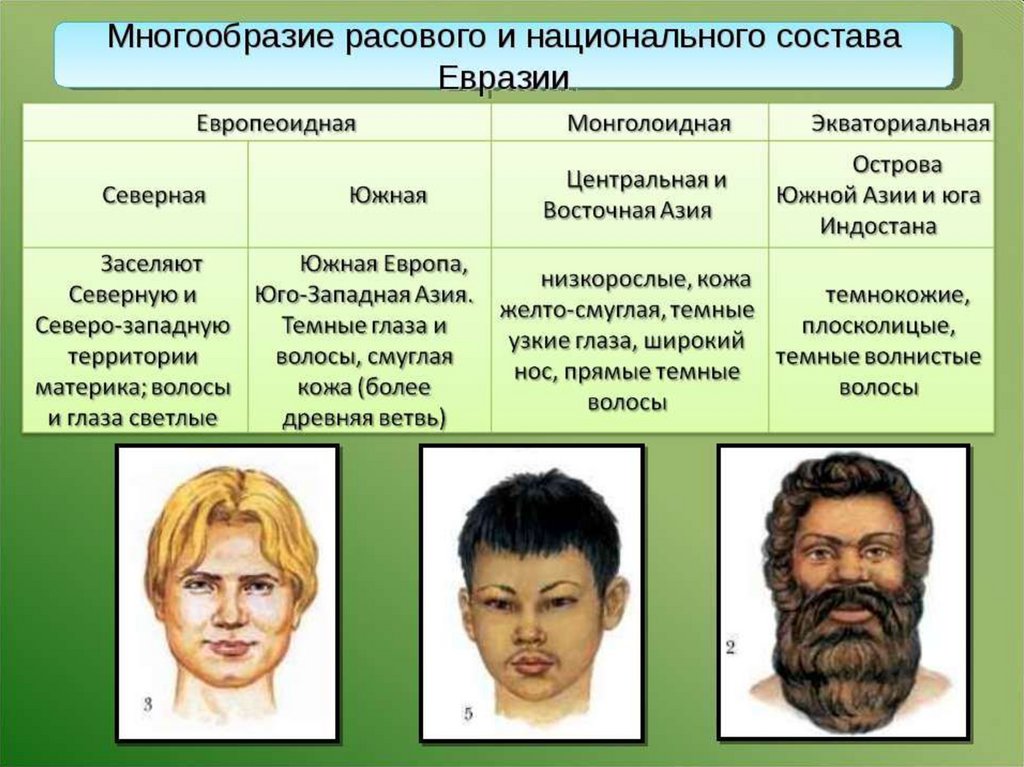 Расы человека задания. Население Евразии 7 класс география. Люди разных рас. Расы людей. Расы и народы Евразии.