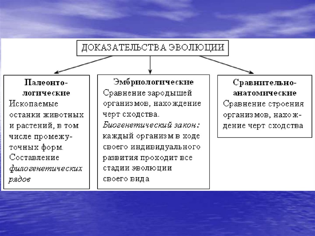 Схема доказательства эволюции животного мира