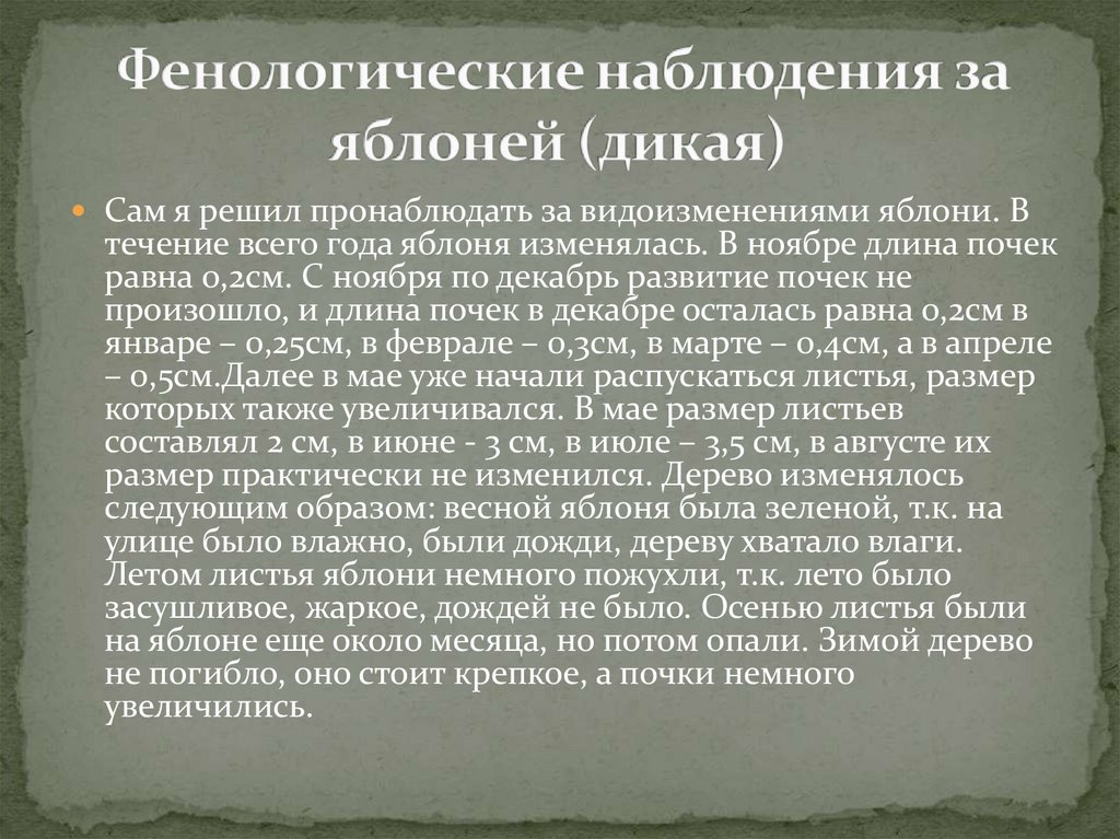 Фенологический дневник 5 класс. Фенологические наблюдения. Фенологические наблюдения за растениями. Фенологические наблюдения яблони. Фенологическое наблюдение за деревом.