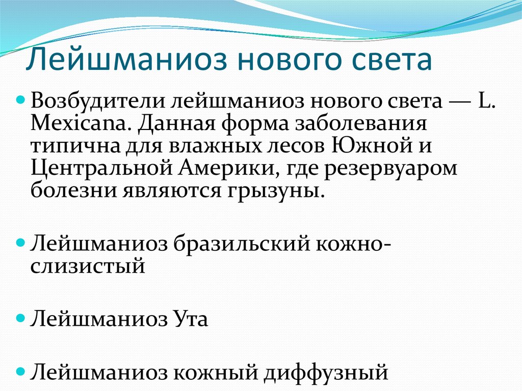 Лейшманиоз природно очаговое. Кожно слизистый лейшманиоз. Кожный лейшманиоз нового света. Лeйшманиoзoм. Кожно слизистая лейшмания.