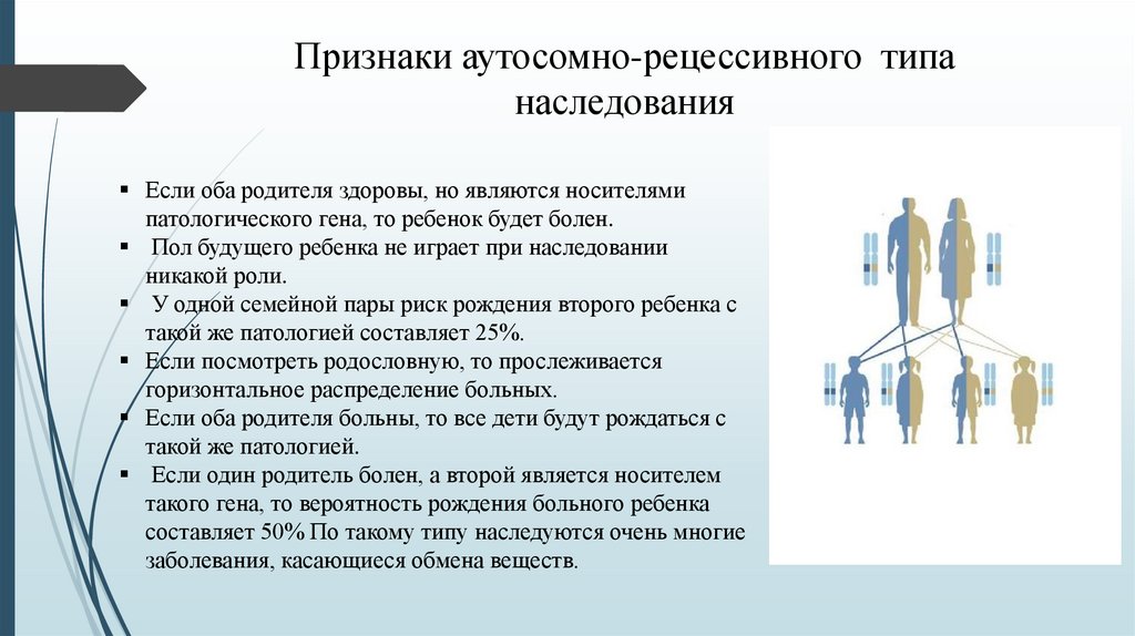 Между рецессивными генами гемофилии и дальтонизма