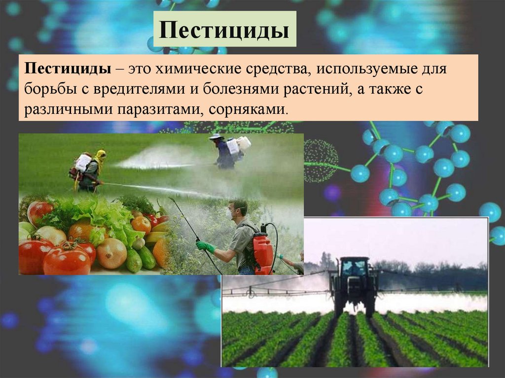 Пестициды влияние на человека. Пестициды. Химия в сельском хозяйстве. Химикаты, используемые в сельском хозяйстве. Пестициды в сельском хозяйстве.