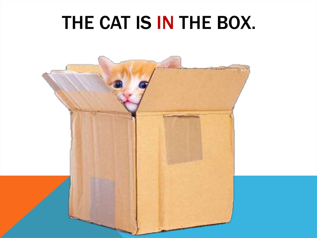 The cat is in The box. 