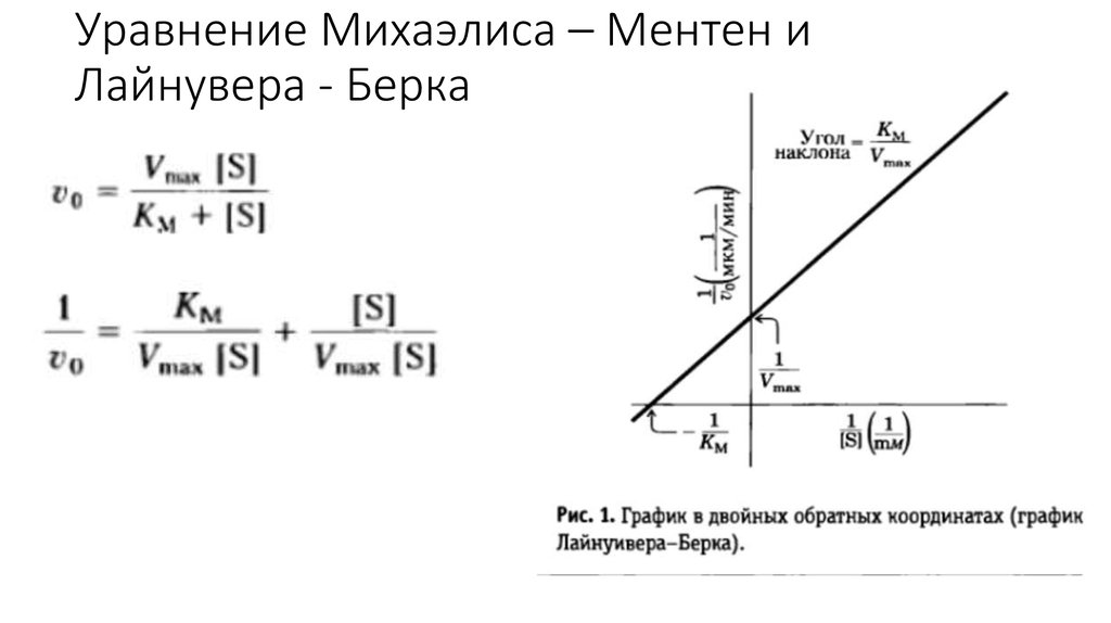 Схема михаэлиса ментен