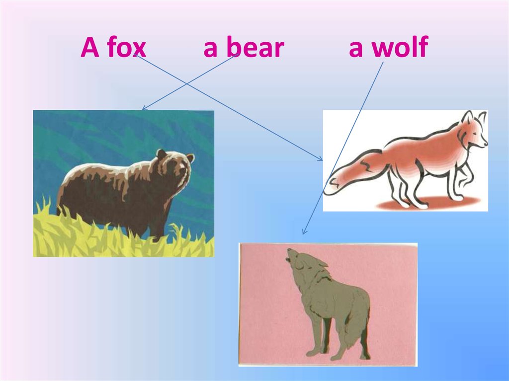 A fox a bear a wolf