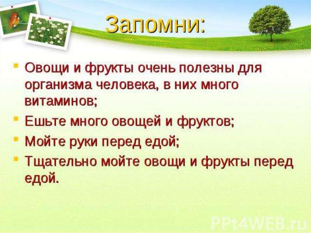 Почему нужно есть много овощей и фруктов конспект урока с презентацией 1 класс школа россии