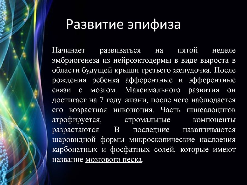 Теле формирование. Развитие эпифиза. Источник развития эпифиза. Эмбриогенез эпифиза. Эпифиз развивается.