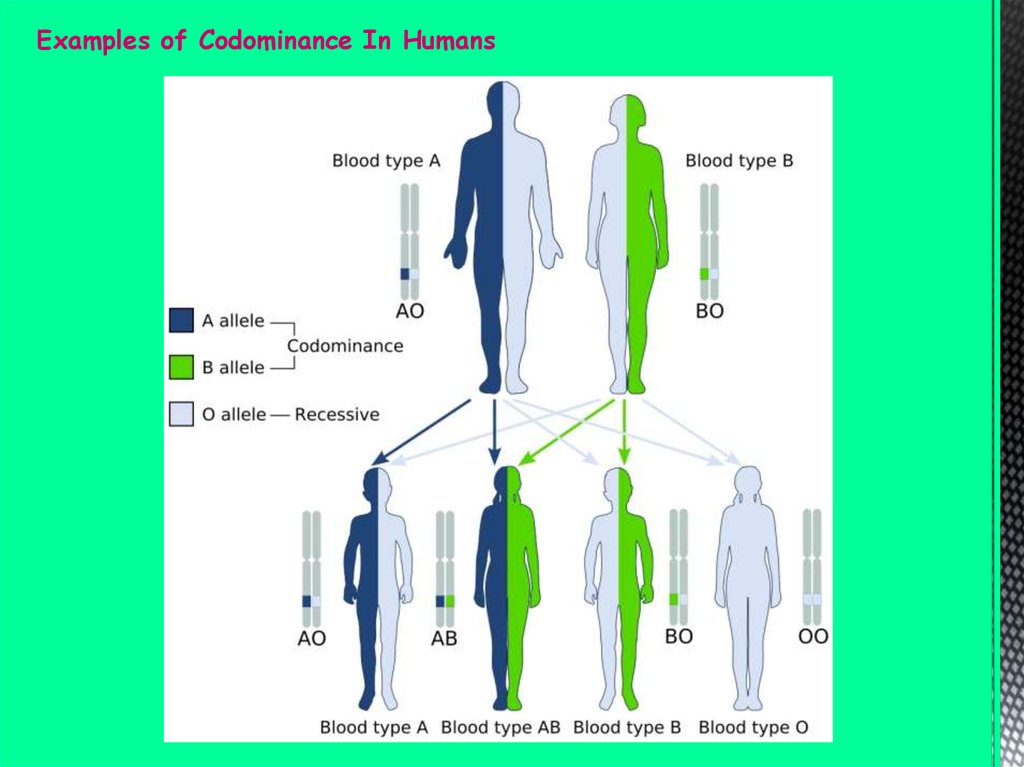 youtube dna behavior styles initiater