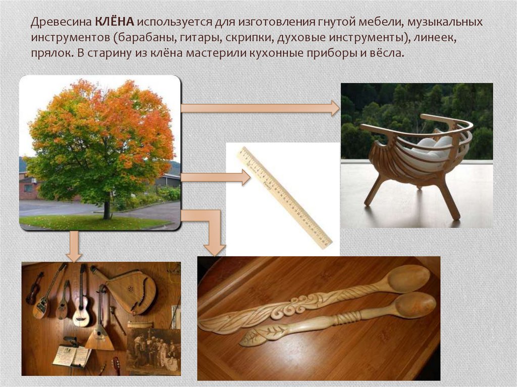 Дерева можно применять для. Древесина клёна для музыкальных инструментов. Древесина используется. Изделия из древесины клена. Музыкальные инструменты из древесины.