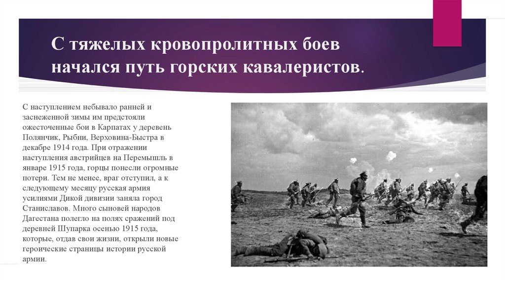 В каких боях участвовали. Наступление дикой дивизии. Потери дикой дивизии. Дикая дивизия состав национальный. Текст про дикую дивизию.