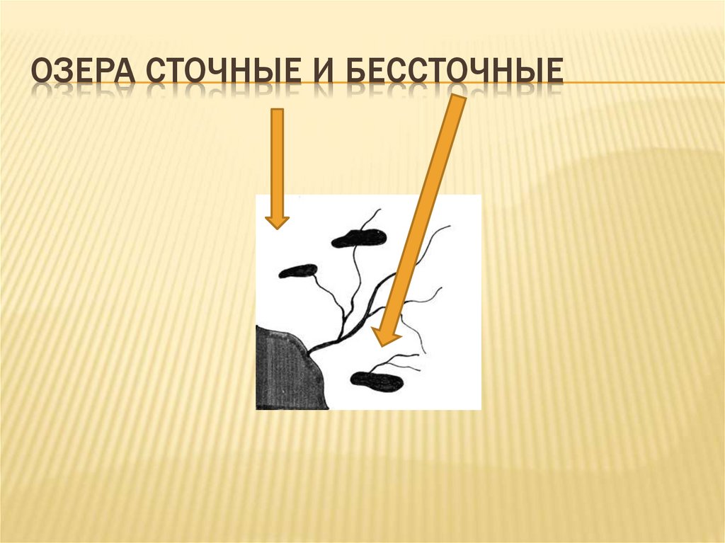 Озеро байкал сточное или бессточное. Сточные и бессточные озера. Схема сточного и бессточного озера. Сточные и бессточные озера Африки. Сточные озера от бессточных.