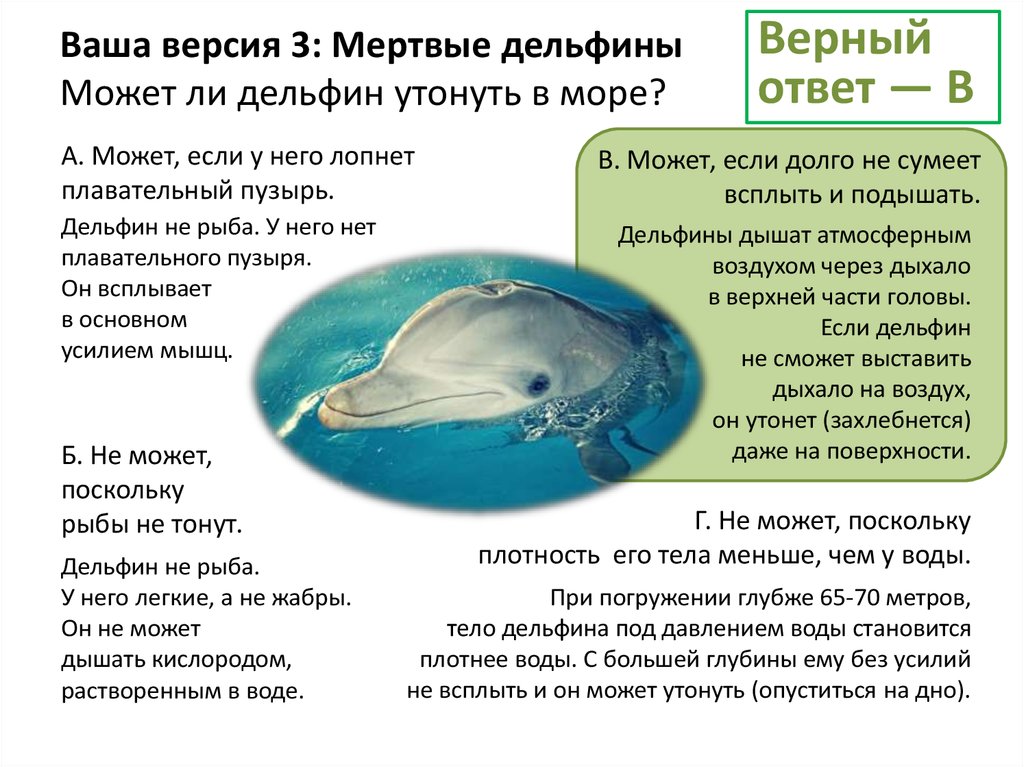 Скорость дельфина в воде