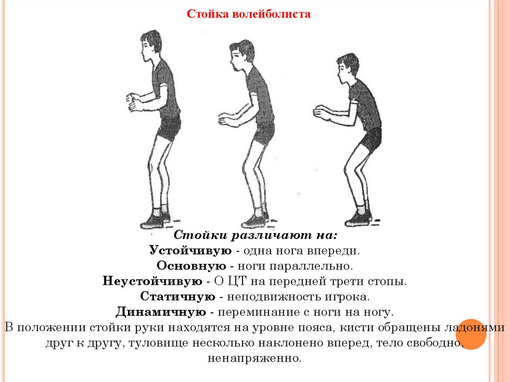 Какой должна быть исходная стойка игрока. Три типа стартовых стоек игрока в волейболе. Стартовые стойки в волейболе. Основная стойка в волейболе. Основные стойки в волейболе.