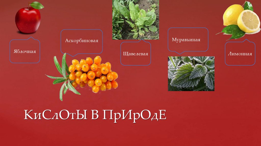 Растительная кислота. Нахождение кислот в природе. Уксусная кислота в природе. Органические кислоты в природе. Кислоты в природе химия.