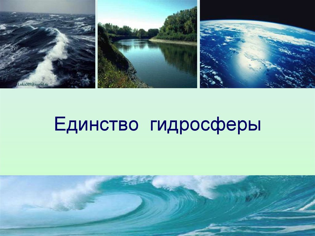 Единство гидросферы презентация 6 класс домогацких