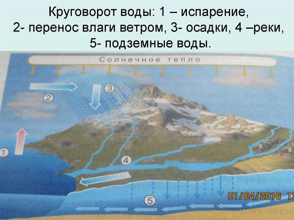 Единство гидросферы презентация 6 класс домогацких