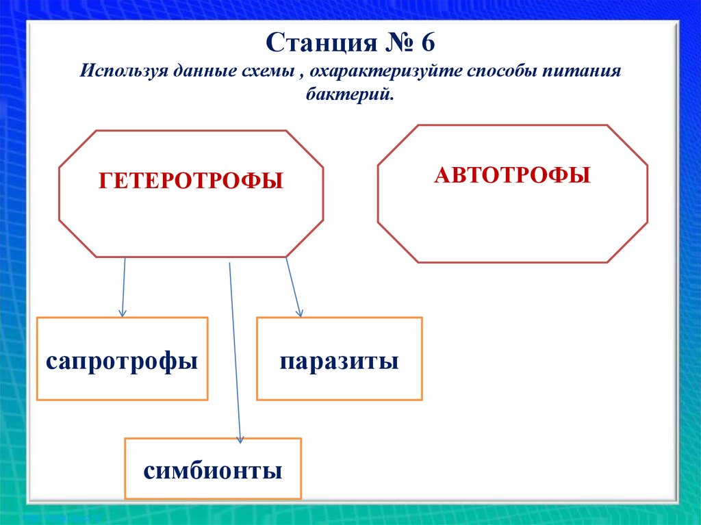 Изобразите в виде схемы многообразие бактерий по способам их питания