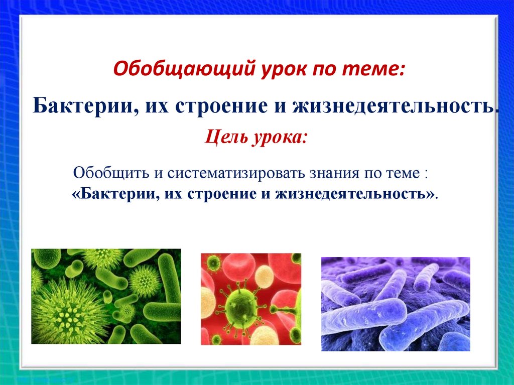 Обобщающий урок 6 класс биология презентация