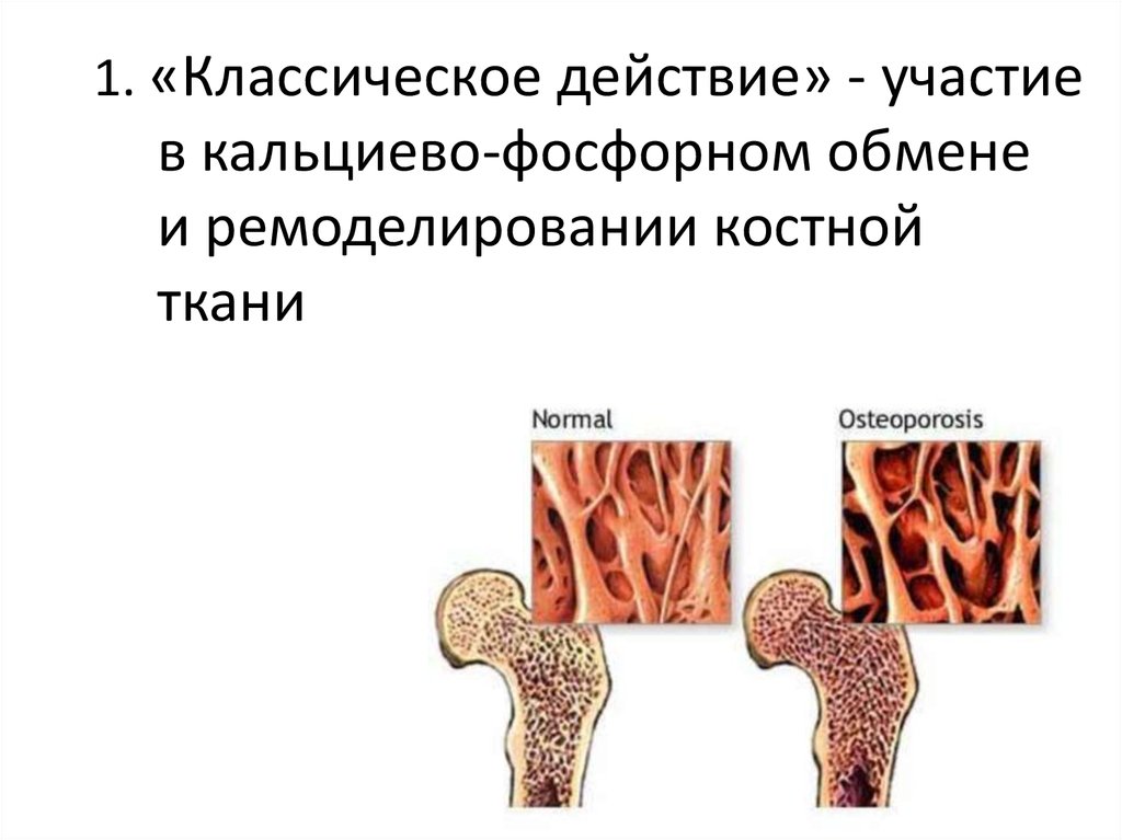 Вымывание кальция из костей. Мобилизация кальция из костной ткани это. Ремоделирование костной ткани. Витамин д и костная ткань. Остеопороз витамин д.