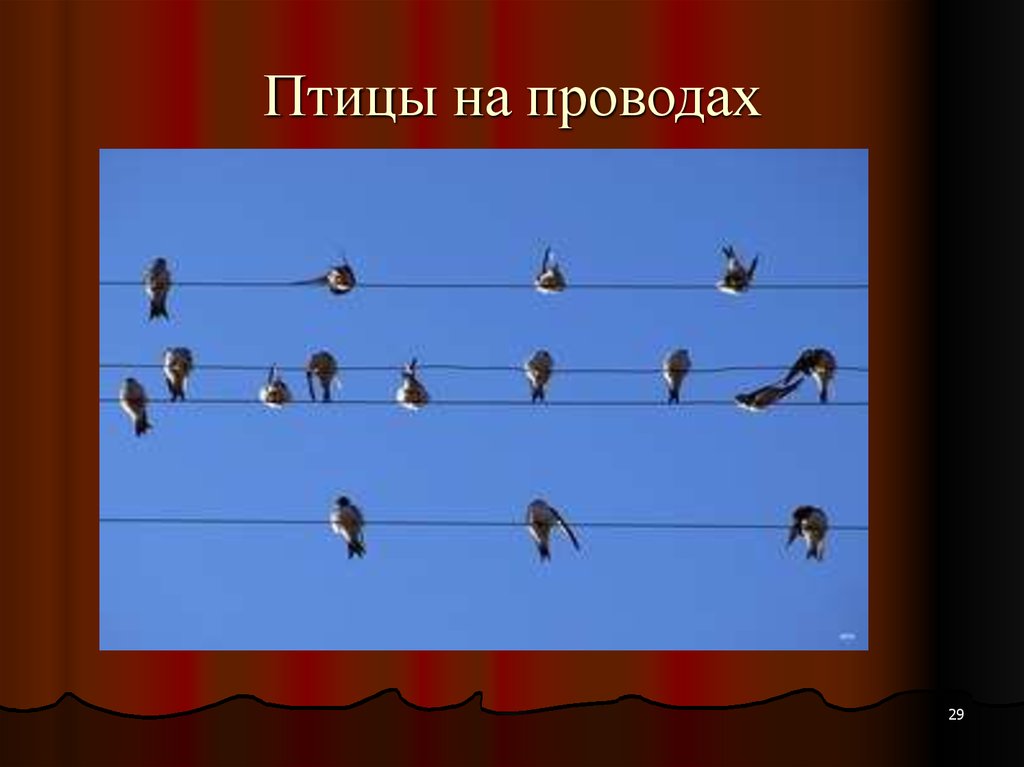 Стая птах на проводах. Задания на проводах. Сценка птички на проводе. Птички на проводе задача на логику. Сценка птички на проводе слова.