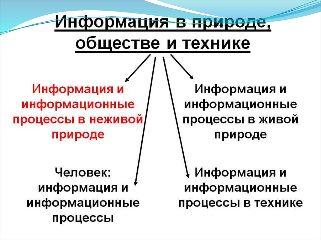 Информация и информационные процессы план конспект