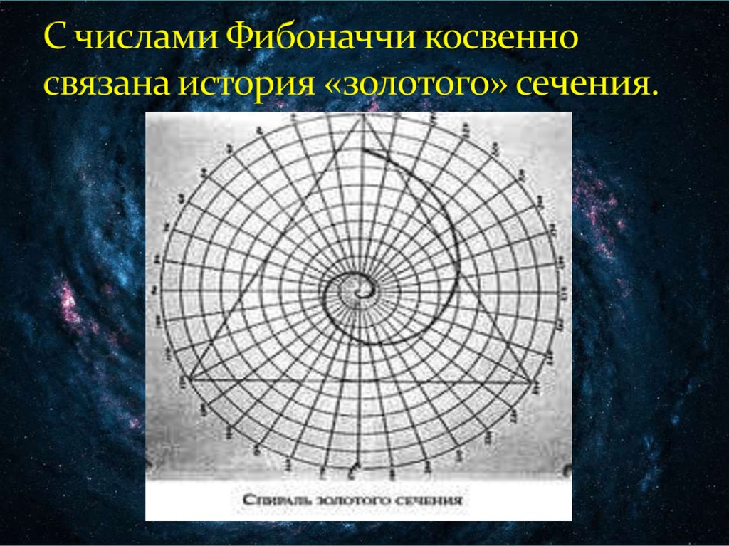 Золотое число. Цифры Фибоначчи и золотое сечение. Формула Фибоначчи золотое сечение. Порядок чисел Фибоначчи и золотое сечение. Золотое сеченье число Фибоначи.