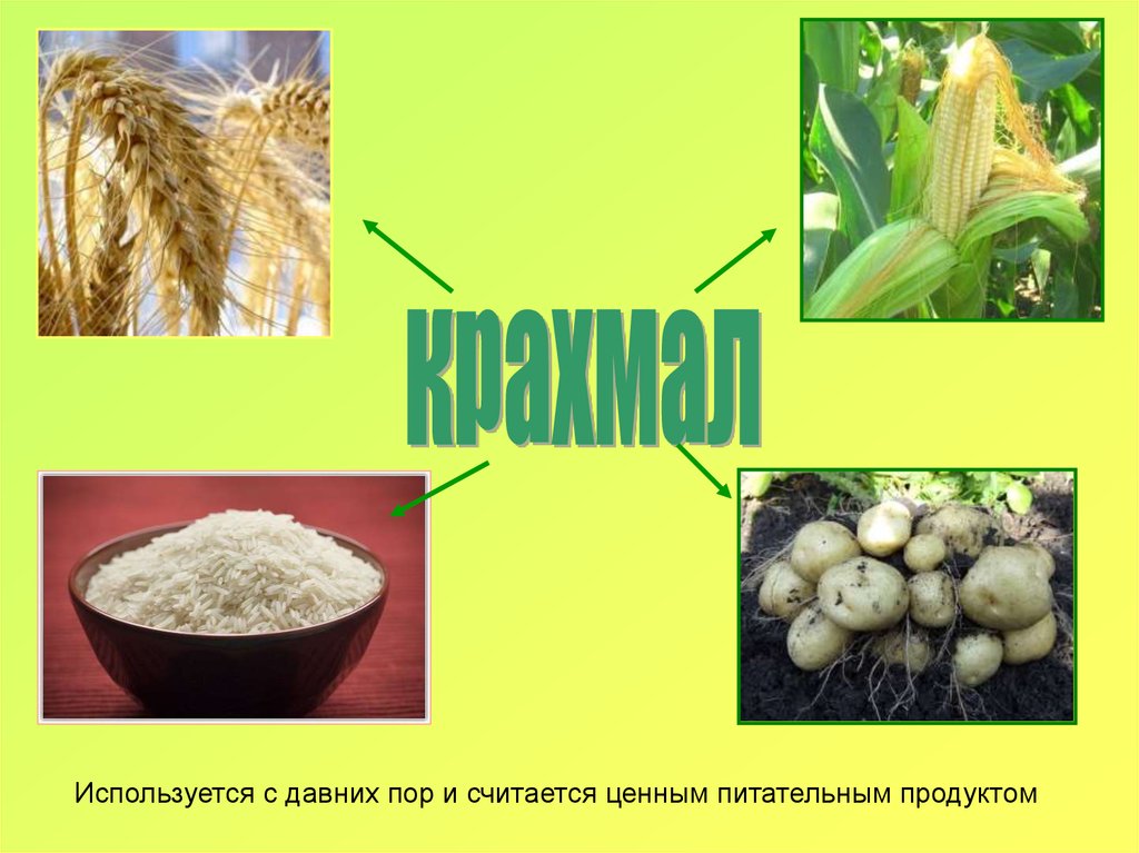 Крахмал картофельный презентация