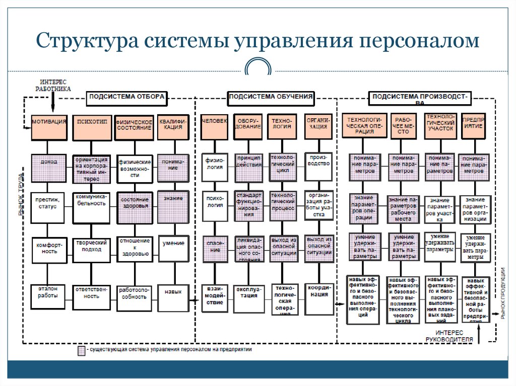 Организационная структура системы. Структура службы управления персоналом схема. Организационная структура системы управления персоналом. Структура управления персоналом в организации схема. Функции системы управления персоналом схема.