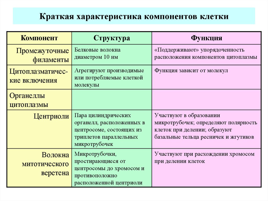 Функции клеточных элементов