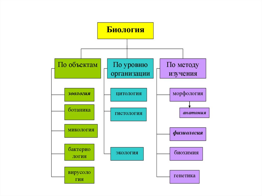 Отдельное строение