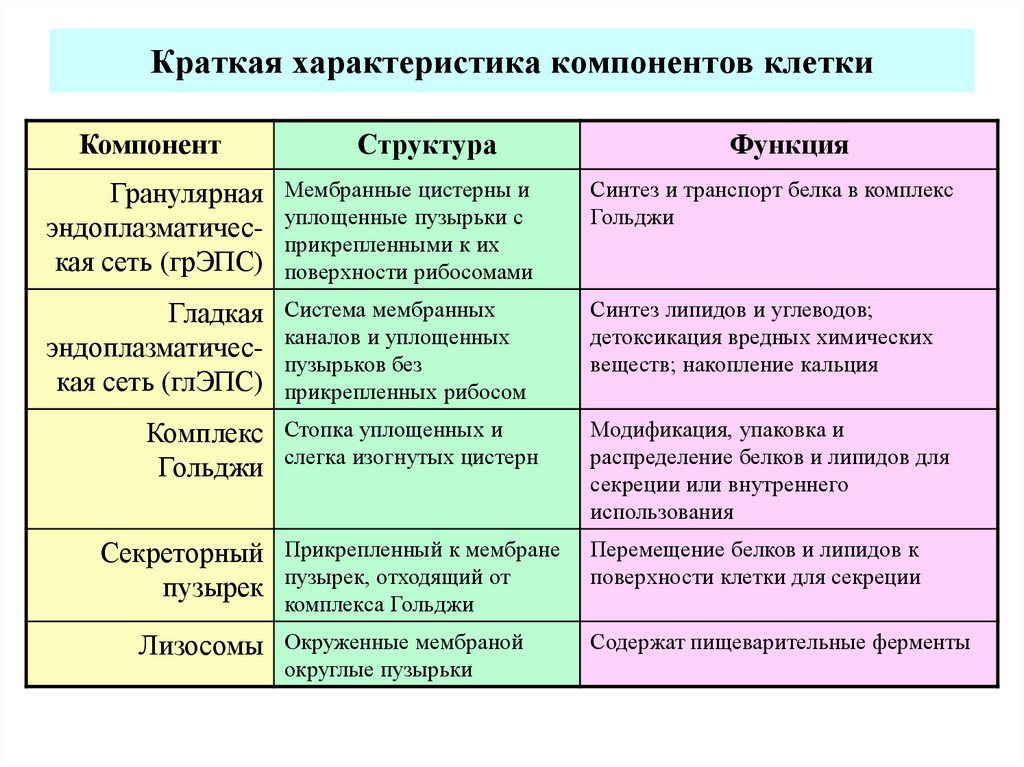 Компоненты характеристики человека