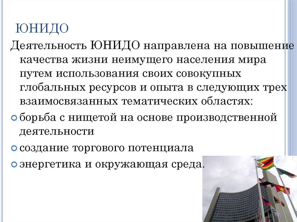 Бизнес план по unido