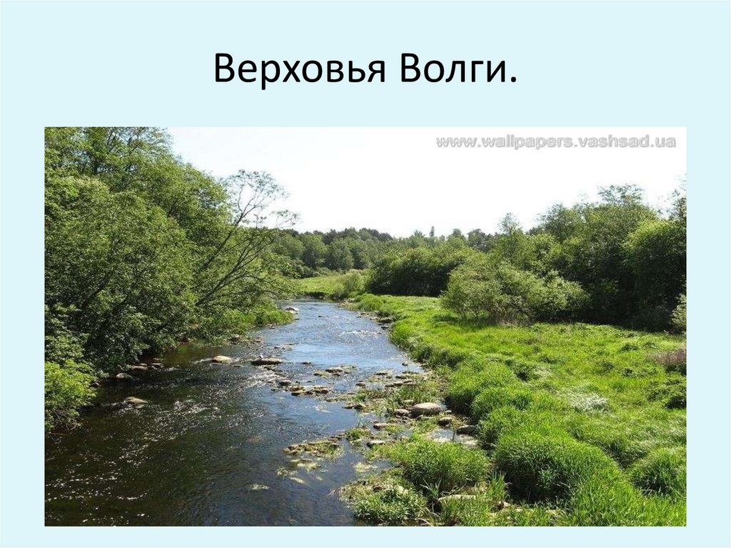 Левый приток волги. Верхнее течение Волги. Верховье Волги название. Верховье Волги на карте. Верховье Волги это где.