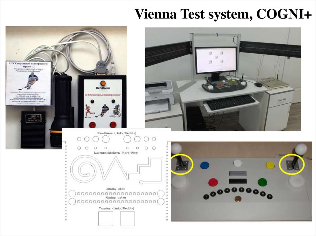 Test system. Vienna Test System. Vienna Test System купить. Schuhfried Vienna Test System Price.