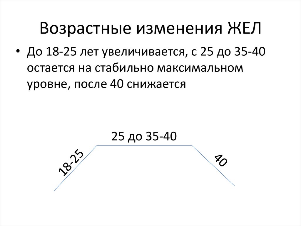 Возрастные изменения ЖЕЛ