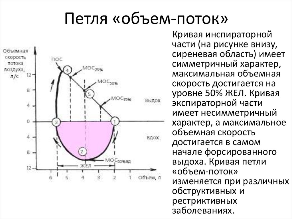 нормальная кривая поток-объем показатели. поток объем. кривые поток объем при бронхиальной астме. кривая поток объем на спирометрии. кривая поток объем.