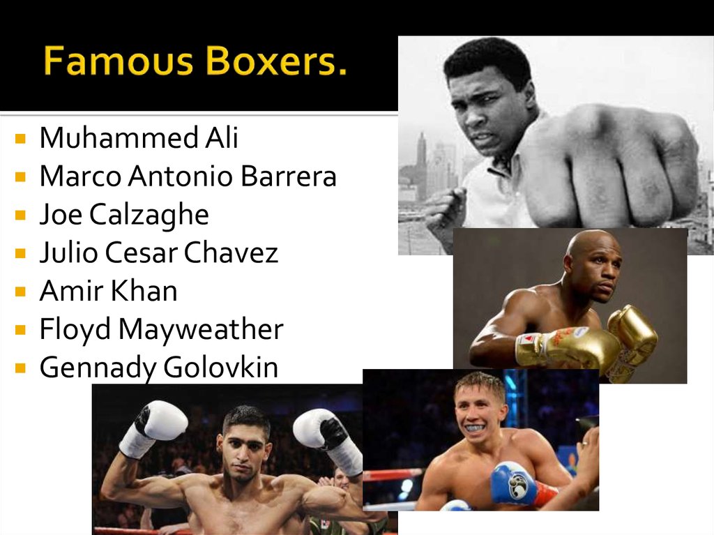 Famous Boxers.