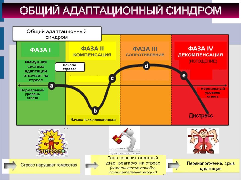 Фото стресс тест физиология