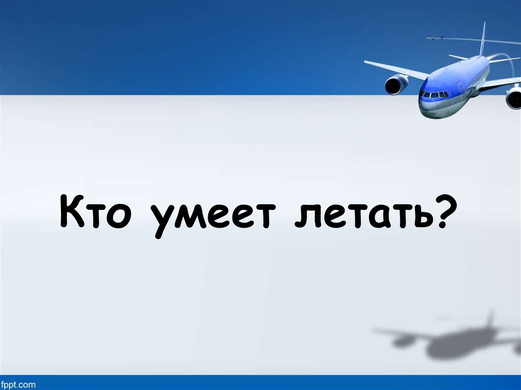 Летать откуда. Кто умеет летать. Кто умеет летать кроме птиц. Что умеет летать. Кто не умеет летать.