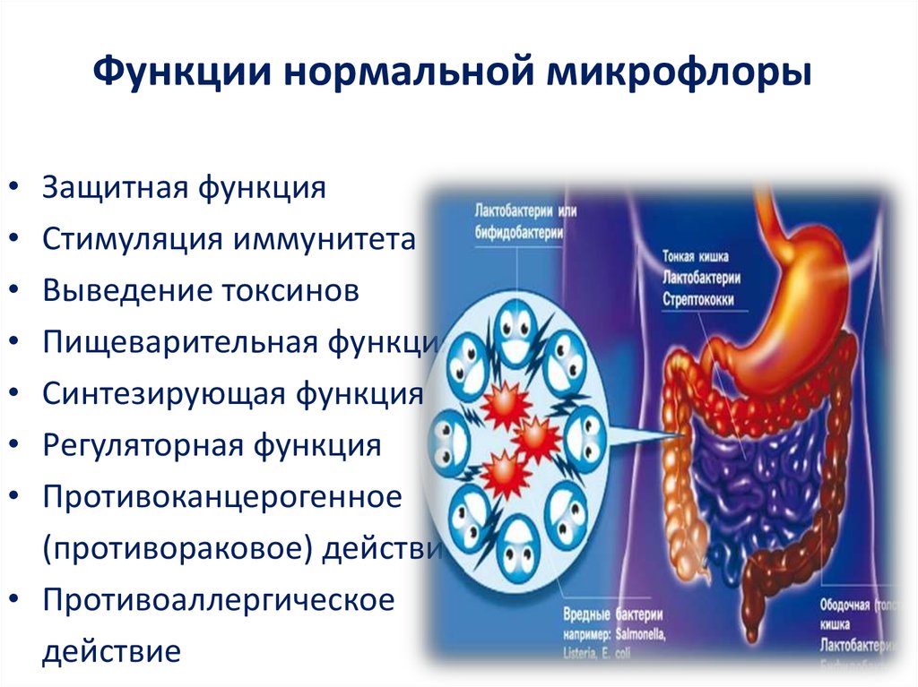 Схема микрофлоры человека