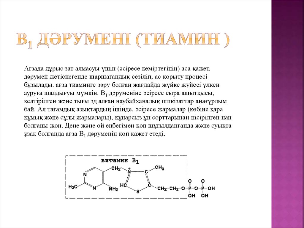 В1 дәруменi (тиамин )