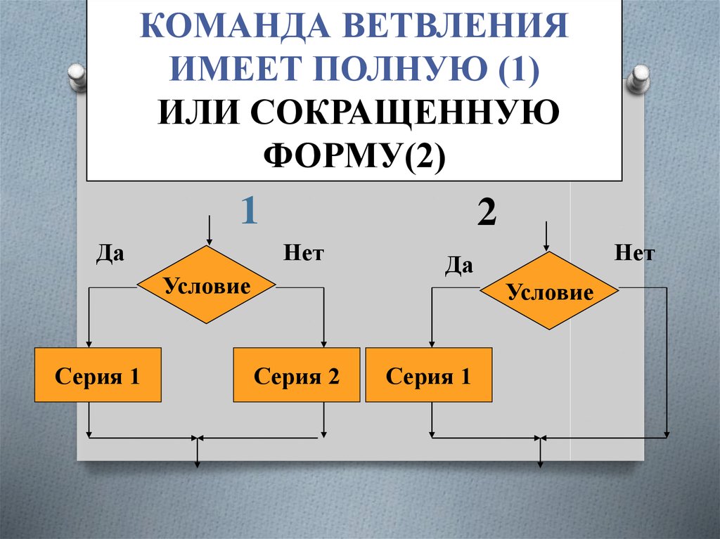 Тест разветвляющиеся алгоритмы 8 класс