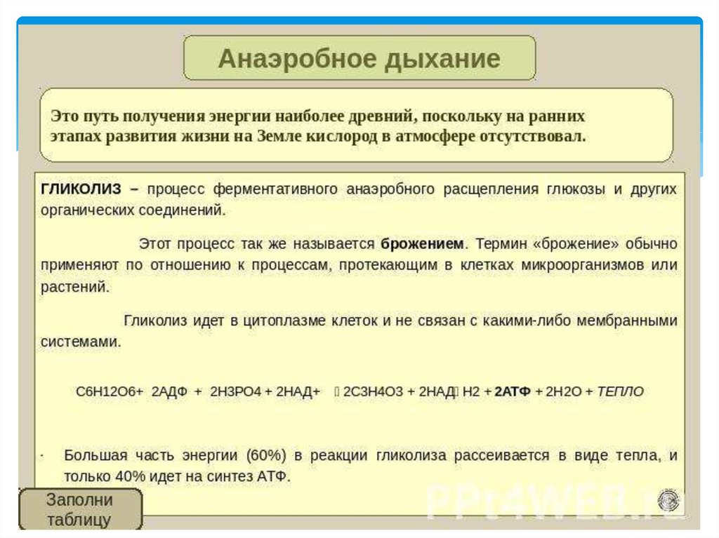 Анаэробное дыхание схема