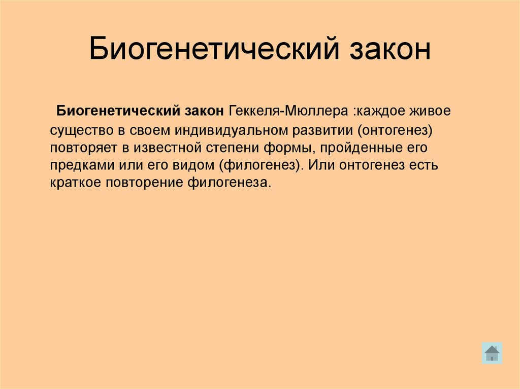 Биогенетический закон. Доказательства биогенетического закона. Биогенетический подход стадии. Биогенный закон Геккеля.